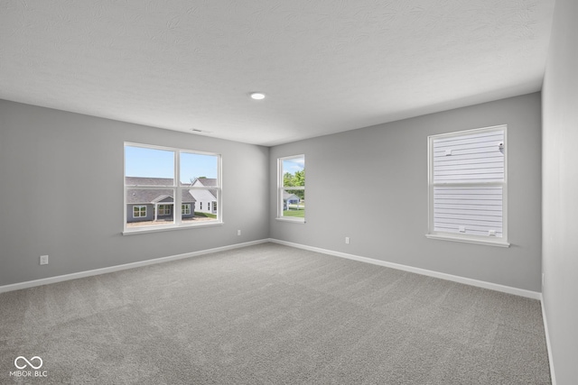 10609 Banyan Wood Ct, Indianapolis, IN 46239 - photo 26