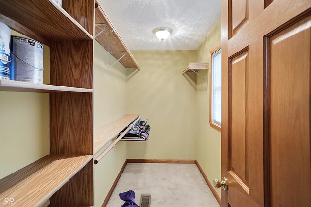 5371 Lue Ann Ln, Mooresville, IN 46158 - spacious closet with carpet floors and visible vents