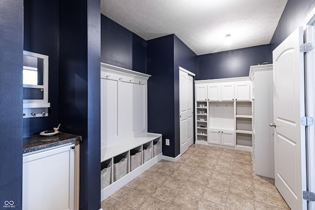 12959 Balfour Rd, Fishers, IN 46037 - mudroom featuring a textured ceiling and baseboards