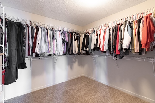 12959 Balfour Rd, Fishers, IN 46037 - spacious closet with carpet