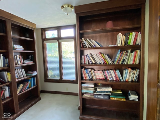 11967 Windpointe Pass, Carmel, IN 46033 - living area with wall of books