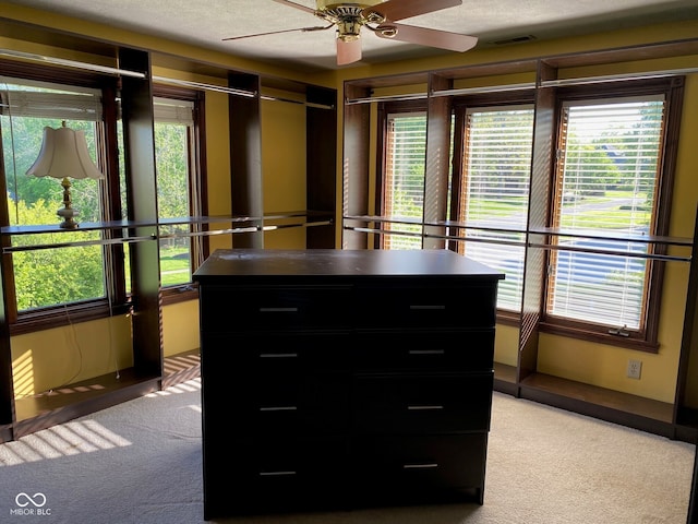 11967 Windpointe Pass, Carmel, IN 46033 - walk in closet featuring light carpet and a ceiling fan