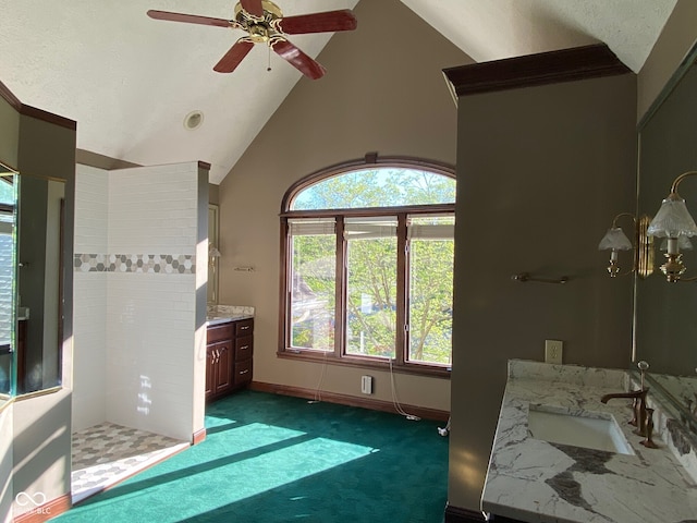 11967 Windpointe Pass, Carmel, IN 46033 - full bath with lofted ceiling, a walk in shower, vanity, a ceiling fan, and baseboards