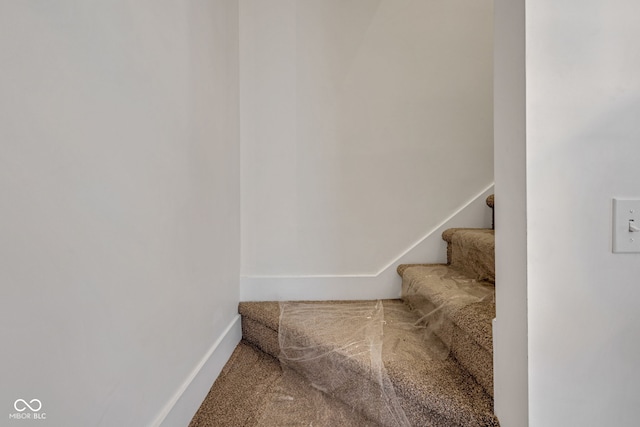 843 N Oxford St, Indianapolis, IN 46201 - stairs featuring carpet floors and baseboards