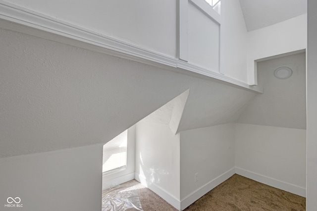 843 N Oxford St, Indianapolis, IN 46201 - additional living space with lofted ceiling and carpet