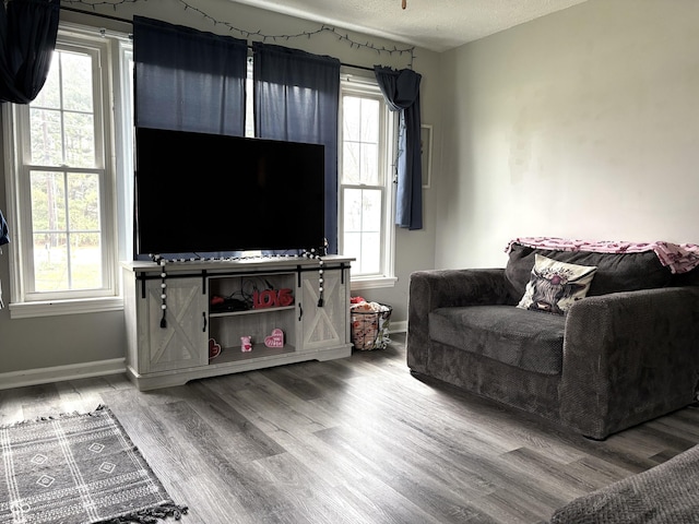 5368 Southeastern Ave, Indianapolis, IN 46203 - living room with baseboards, wood finished floors, and a textured ceiling