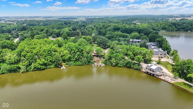 22 Point Ln, Arcadia, IN 46030 - bird's eye view of a large body of water