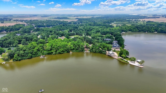 22 Point Ln, Arcadia, IN 46030 - aerial view of a nearby body of water