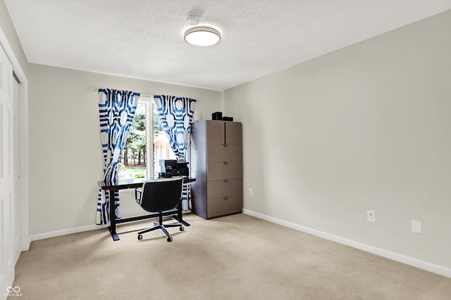 22 Point Ln, Arcadia, IN 46030 - home office featuring light colored carpet and a textured ceiling