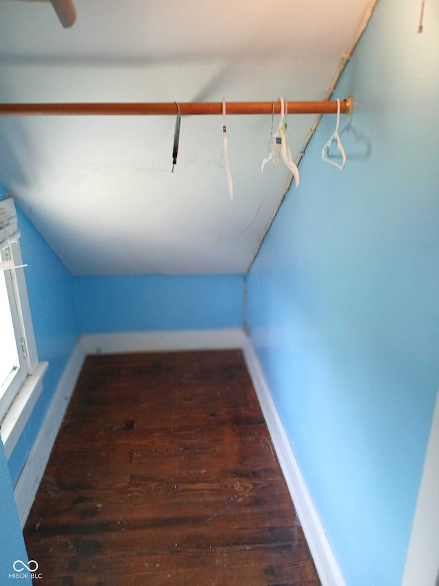 walk in closet with vaulted ceiling and hardwood / wood-style flooring
