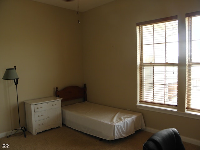 42 Copperleaf Dr, Crawfordsville, IN 47933 - photo 26