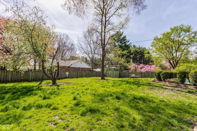 7859 N Chester Ave, Indianapolis, IN 46240 - view of yard
