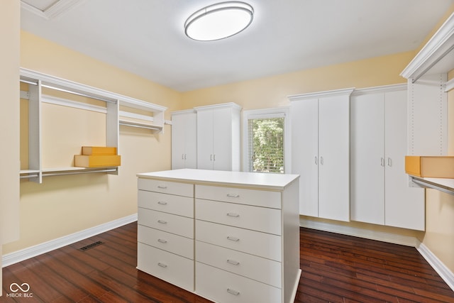 10821 Club Point Dr, Fishers, IN 46037 - walk in closet with dark wood-type flooring and visible vents