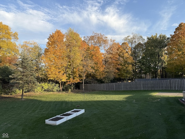 7341 Campfire Run, Indianapolis, IN 46236 - view of yard