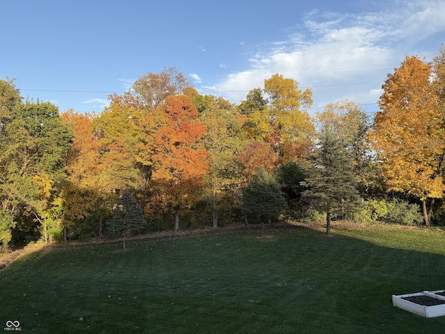 7341 Campfire Run, Indianapolis, IN 46236 - view of grassy yard featuring a wooded view