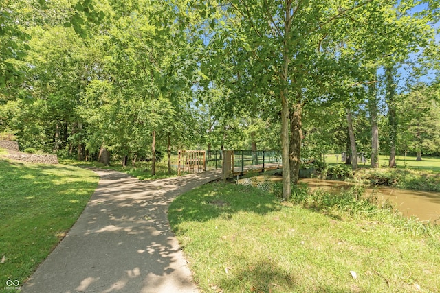 7341 Campfire Run, Indianapolis, IN 46236 - view of property's community with view of wooded area and a lawn