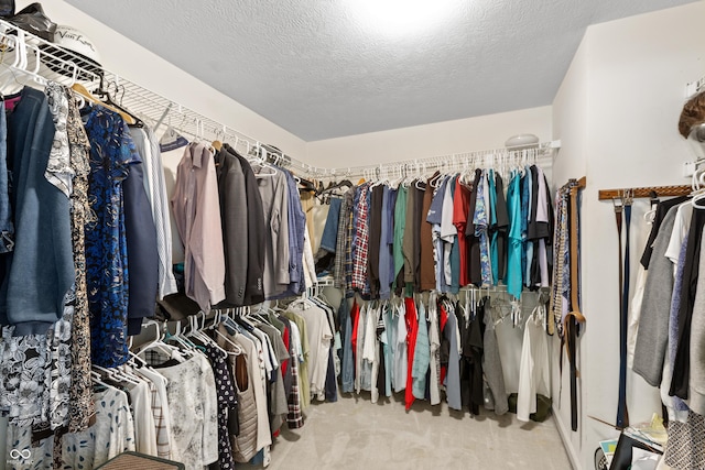 7341 Campfire Run, Indianapolis, IN 46236 - walk in closet with carpet