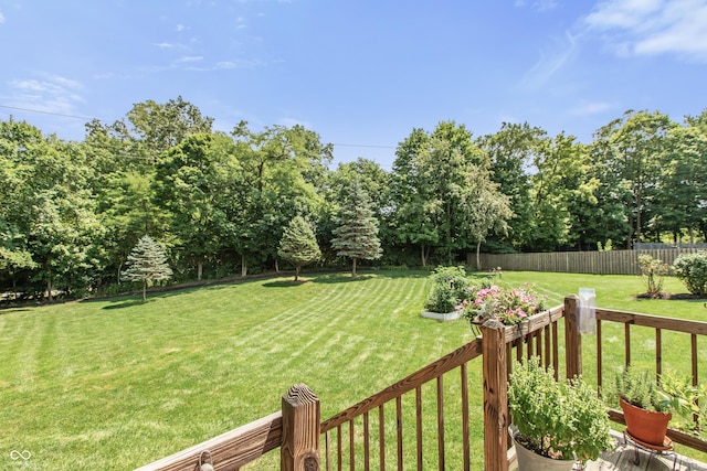 7341 Campfire Run, Indianapolis, IN 46236 - view of yard
