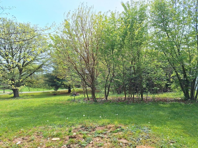 12871 W State Road 32, Yorktown, IN 47396 - photo 5