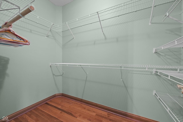 spacious closet featuring wood finished floors
