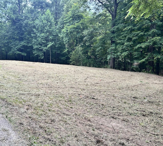 0 Paradise Lake Rd, Martinsville, IN 46151 - photo 1