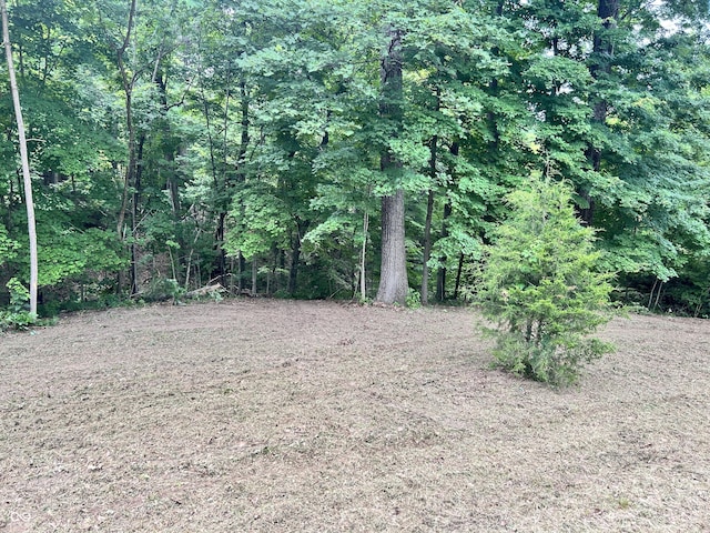 0 Paradise Lake Rd, Martinsville, IN 46151 - photo 4