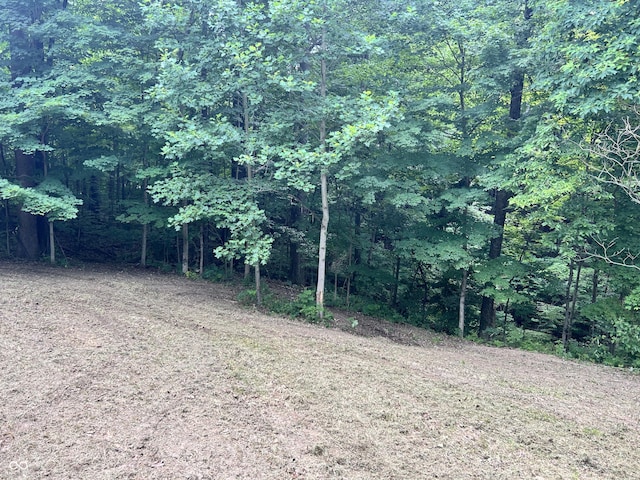 0 Paradise Lake Rd, Martinsville, IN 46151 - photo 6