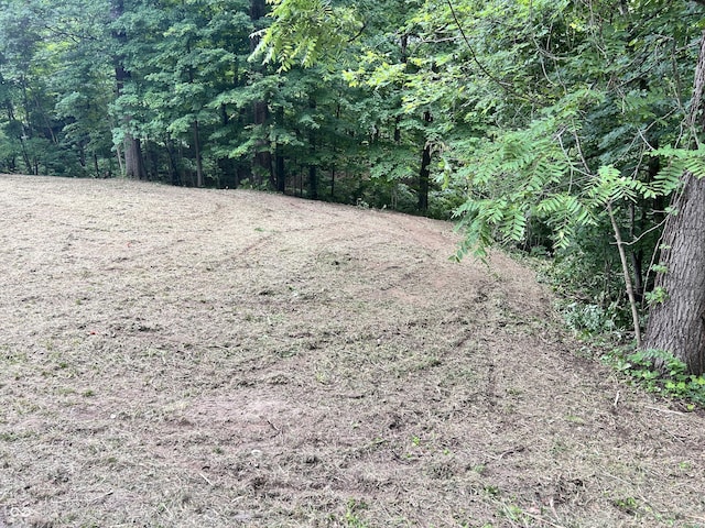 0 Paradise Lake Rd, Martinsville, IN 46151 - photo 2