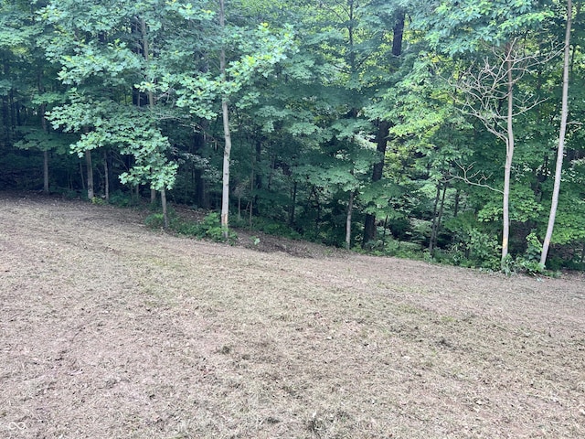 0 Paradise Lake Rd, Martinsville, IN 46151 - photo 5
