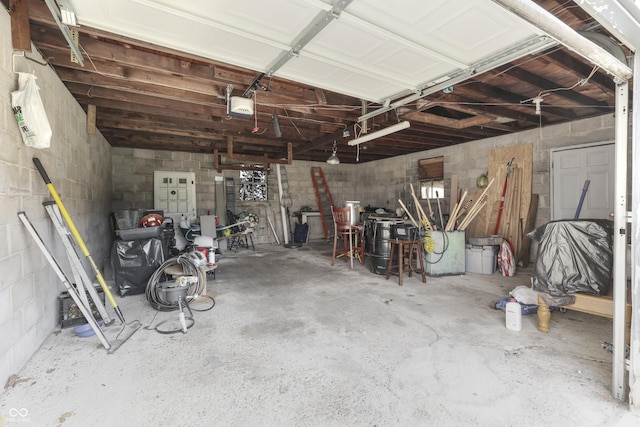5110 Chelsea Rd, Indianapolis, IN 46241 - garage with a garage door opener