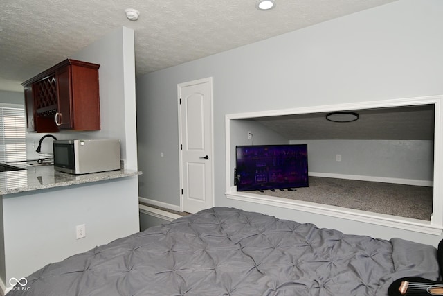 3041 S Kercheval St, Indianapolis, IN 46239 - bedroom featuring a sink, baseboards, and a textured ceiling
