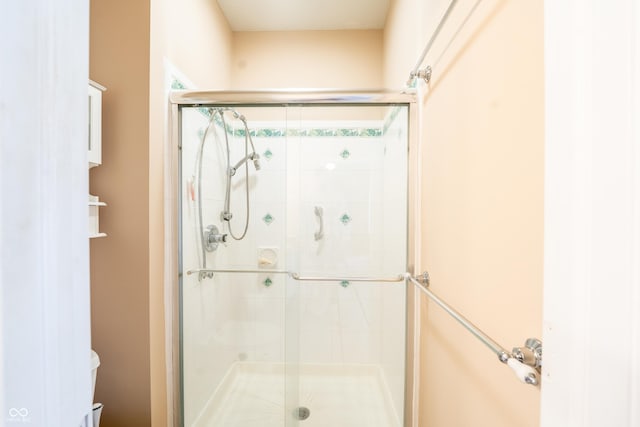 11229 Echo Ridge Ln, Indianapolis, IN 46236 - bathroom with a stall shower