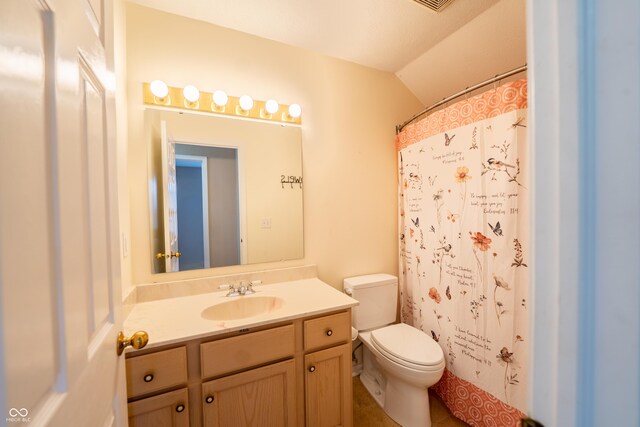 11229 Echo Ridge Ln, Indianapolis, IN 46236 - full bathroom featuring vanity, vaulted ceiling, and curtained shower