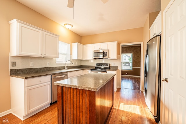11229 Echo Ridge Ln, Indianapolis, IN 46236 - kitchen with stainless steel appliances, light wood finished floors, and plenty of natural light
