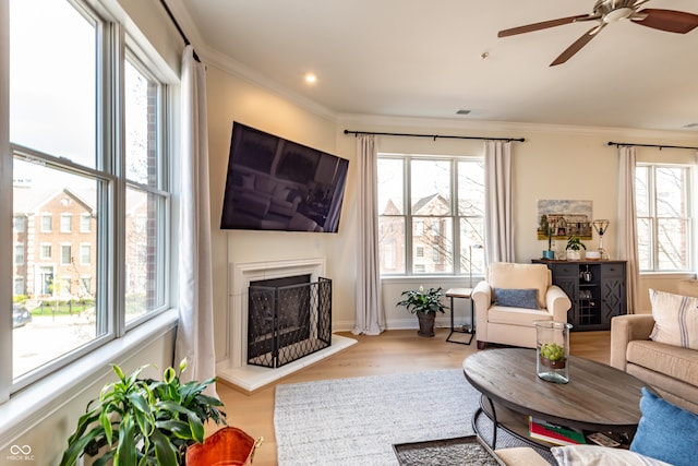 living area featuring wood finished floors, ornamental molding, a fireplace with raised hearth, and ceiling fan