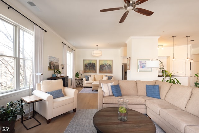 living area featuring wood finished floors, ceiling fan, ornamental molding, and a healthy amount of sunlight