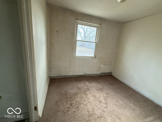 spare room with carpet floors