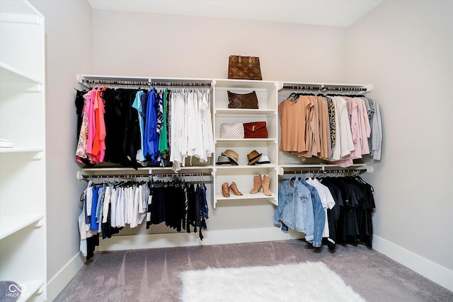 spacious closet with carpet floors