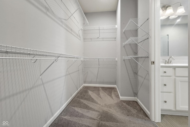 spacious closet featuring carpet floors and a sink