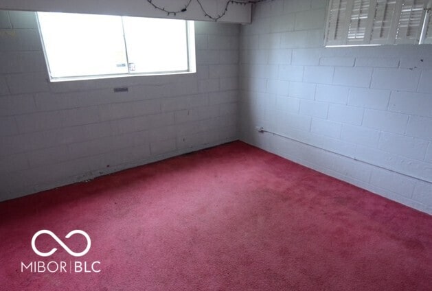 basement with carpet flooring and plenty of natural light