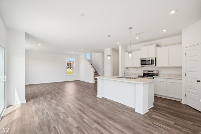 kitchen with open floor plan, a sink, stainless steel appliances, and wood finished floors