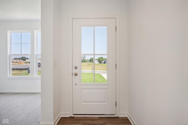 entryway featuring baseboards, dark carpet, and dark wood-type flooring