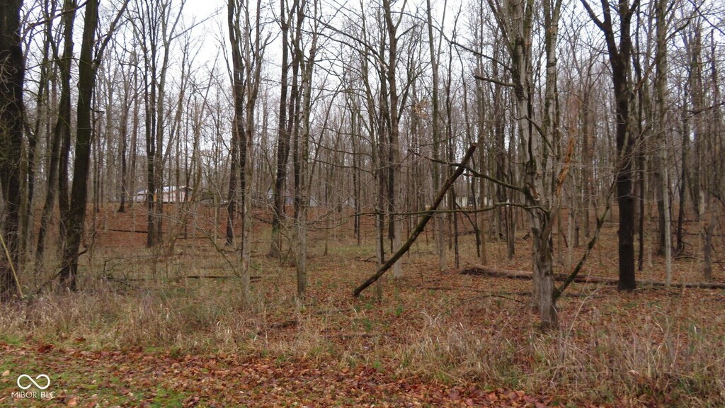 00 Cambridge Dr, Crawfordsville, IN 47933 - photo 4