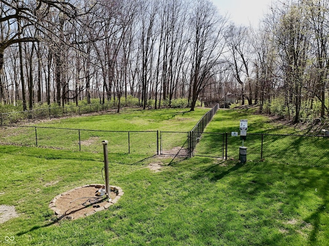 view of yard with fence and a gate