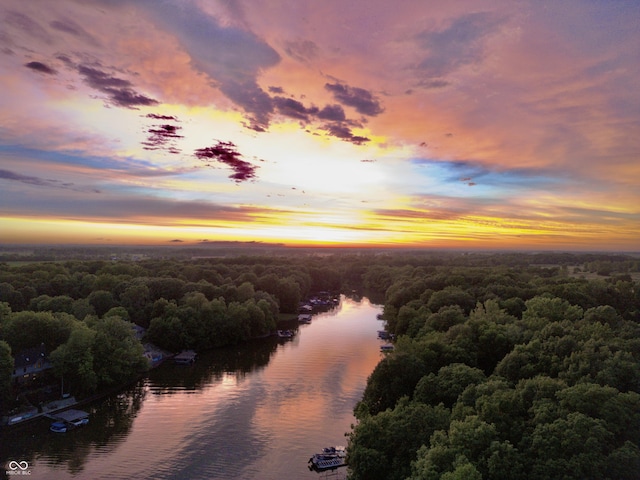 birds eye view of property featuring a forest view and a water view