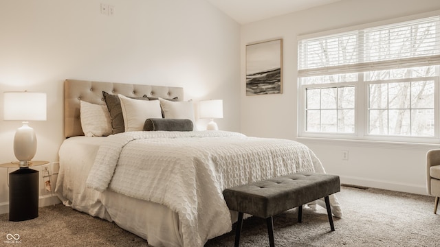 6733 Dorchester Dr, Zionsville, IN 46077 - photo 19