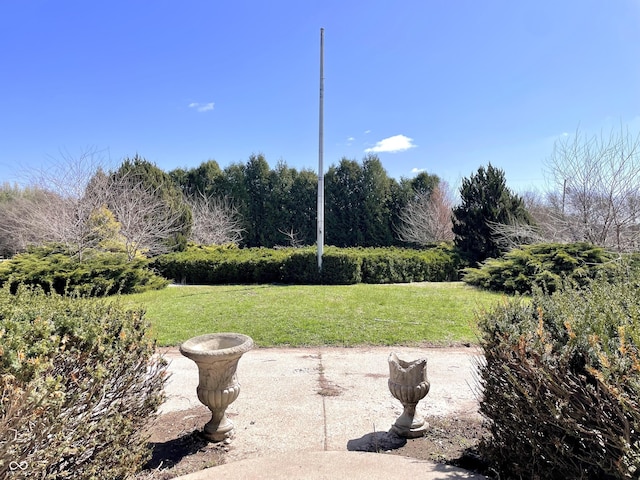 7180 N State Road 42, Eminence, IN 46125 - view of yard