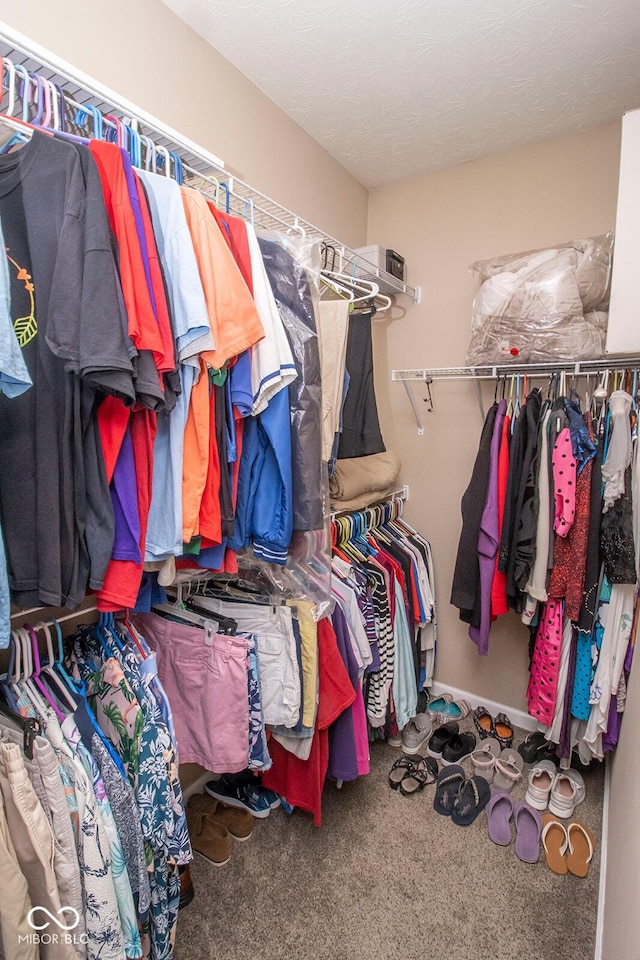 walk in closet featuring carpet floors