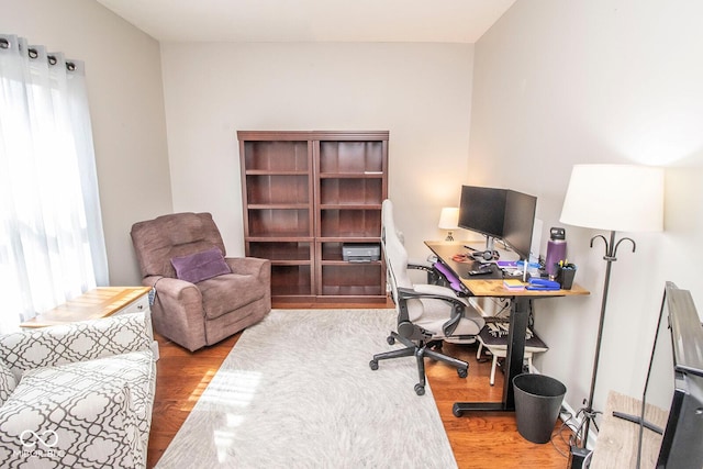 office area featuring wood finished floors