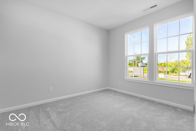 1023 Grassy Branch Dr, Indianapolis, IN 46239 - photo 20
